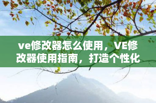ve修改器怎么使用，VE修改器使用指南，打造个性化游戏体验