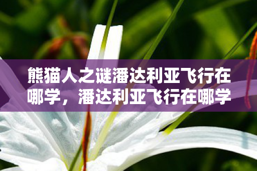 熊猫人之谜潘达利亚飞行在哪学，潘达利亚飞行在哪学