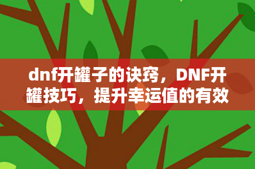 dnf开罐子的诀窍，DNF开罐技巧，提升幸运值的有效策略