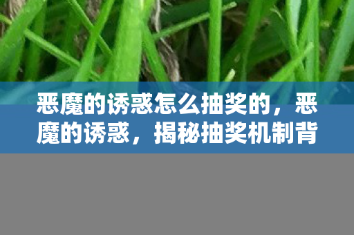 恶魔的诱惑怎么抽奖的,恶魔的诱惑,揭秘抽奖机制背后的秘密 恶魔的诱惑怎么抽奖的,恶魔的诱惑,揭秘抽奖机制背后的秘密