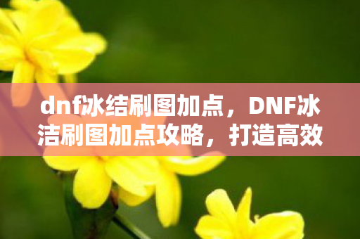 dnf冰结刷图加点，DNF冰洁刷图加点攻略，打造高效战斗体验