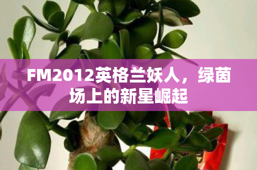 FM2012英格兰妖人，绿茵场上的新星崛起