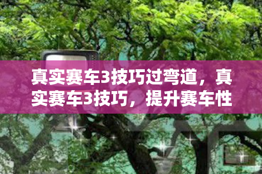 真实赛车3技巧过弯道，真实赛车3技巧，提升赛车性能与赛道表现的实用策略