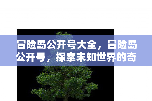 冒险岛公开号大全,冒险岛公开号,探索未知世界的奇妙旅程 冒险岛公开号大全,冒险岛公开号,探索未知世界的奇妙旅程