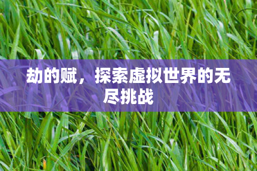 劫的赋,探索虚拟世界的无尽挑战 劫的赋,探索虚拟世界的无尽挑战