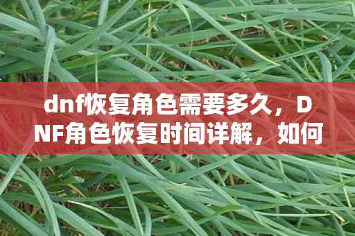 dnf恢复角色需要多久,DNF角色恢复时间详解,如何高效恢复被误删或丢失的角色 dnf恢复角色需要多久,DNF角色恢复时间详解,如何高效恢复被误删或丢失的角色