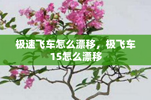 极速飞车怎么漂移,极飞车15怎么漂移 极速飞车怎么漂移,极飞车15怎么漂移