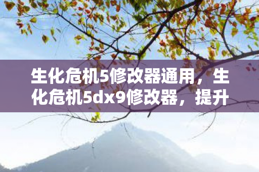 生化危机5修改器通用，生化危机5dx9修改器，提升游戏体验的必备神器