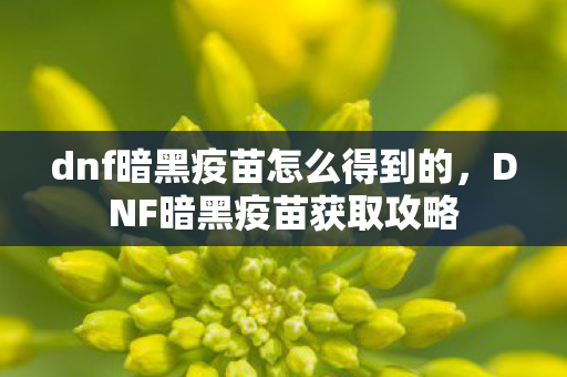 dnf暗黑疫苗怎么得到的,DNF暗黑疫苗获取攻略 dnf暗黑疫苗怎么得到的,DNF暗黑疫苗获取攻略