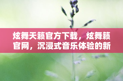 炫舞天籁官方下载，炫舞籁官网，沉浸式音乐体验的新纪元