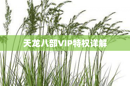 天龙八部VIP特权详解