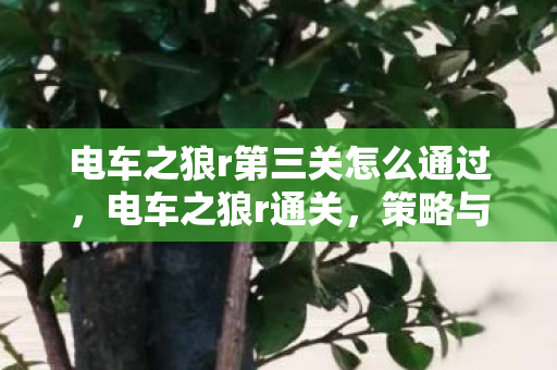 电车之狼r第三关怎么通过，电车之狼r通关，策略与技巧的深度解析