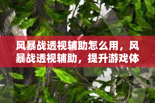 风暴战透视辅助怎么用，风暴战透视辅助，提升游戏体验的利器