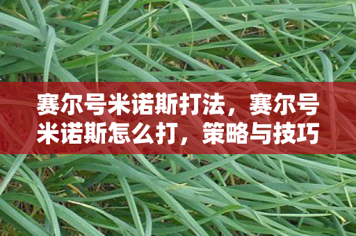 赛尔号米诺斯打法,赛尔号米诺斯怎么打,策略与技巧解析 赛尔号米诺斯打法,赛尔号米诺斯怎么打,策略与技巧解析