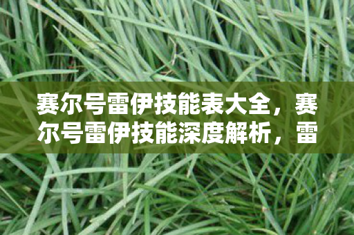 赛尔号雷伊技能表大全，赛尔号雷伊技能深度解析，雷霆万钧，震撼战场！