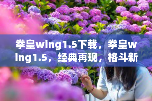 拳皇wing1.5下载，拳皇wing1.5，经典再现，格斗新体验