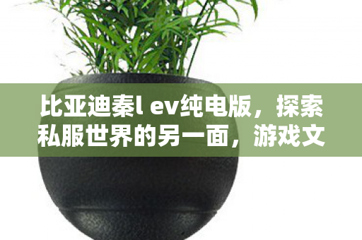 比亚迪秦l ev纯电版,探索私服世界的另一面,游戏文化的独特魅力与玩家社群 比亚迪秦l ev纯电版,探索私服世界的另一面,游戏文化的独特魅力与玩家社群