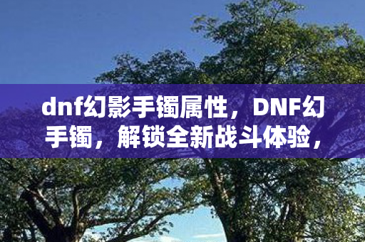 dnf幻影手镯属性，DNF幻手镯，解锁全新战斗体验，打造个性化角色