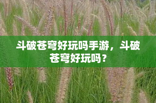 斗破苍穹好玩吗手游,斗破苍穹好玩吗? 斗破苍穹好玩吗手游,斗破苍穹好玩吗?