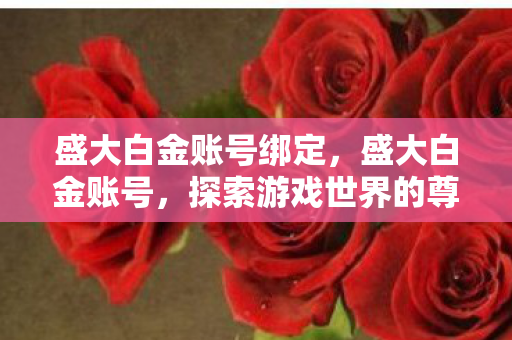 盛大白金账号绑定,盛大白金账号,探索游戏世界的尊贵通行证 盛大白金账号绑定,盛大白金账号,探索游戏世界的尊贵通行证