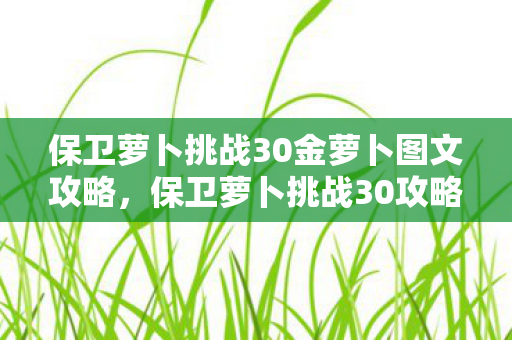 保卫萝卜挑战30金萝卜图文攻略,保卫萝卜挑战30攻略金萝卜布阵图 保卫萝卜挑战30金萝卜图文攻略,保卫萝卜挑战30攻略金萝卜布阵图