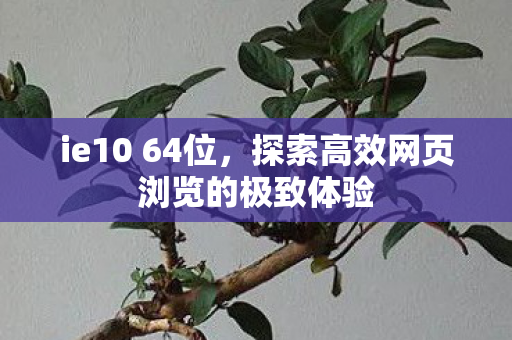 ie10 64位,探索高效网页浏览的极致体验 ie10 64位,探索高效网页浏览的极致体验