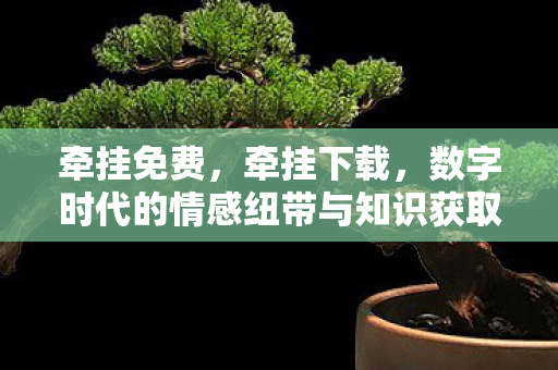 牵挂免费,牵挂下载,数字时代的情感纽带与知识获取新方式 牵挂免费,牵挂下载,数字时代的情感纽带与知识获取新方式