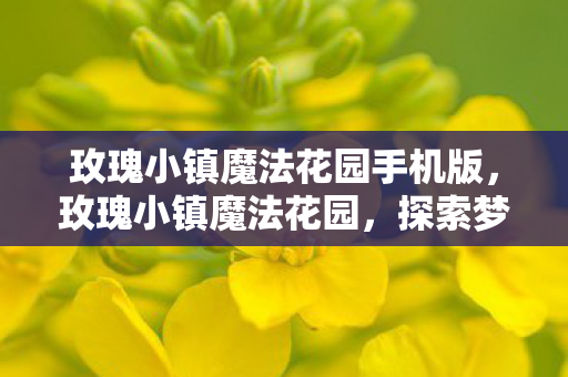 玫瑰小镇魔法花园手机版,玫瑰小镇魔法花园,探索梦幻与魔法的交汇点 玫瑰小镇魔法花园手机版,玫瑰小镇魔法花园,探索梦幻与魔法的交汇点