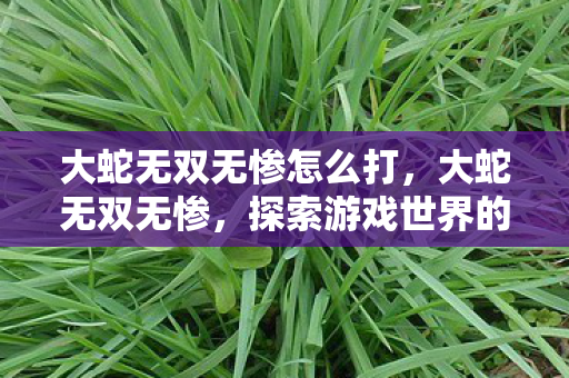 大蛇无双无惨怎么打，大蛇无双无惨，探索游戏世界的无限可能