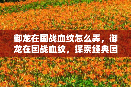 御龙在国战血纹怎么弄,御龙在国战血纹,探索经典国战游戏的魅力 御龙在国战血纹怎么弄,御龙在国战血纹,探索经典国战游戏的魅力