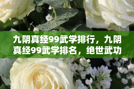 九阴真经99武学排行，九阴真经99武学排名，绝世武功的巅峰对决