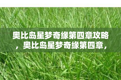 奥比岛星梦奇缘第四章攻略，奥比岛星梦奇缘第四章，梦幻之旅的延续