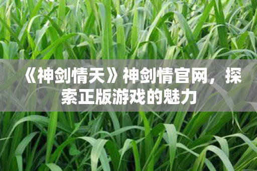 《神剑情天》神剑情官网,探索正版游戏的魅力 《神剑情天》神剑情官网,探索正版游戏的魅力