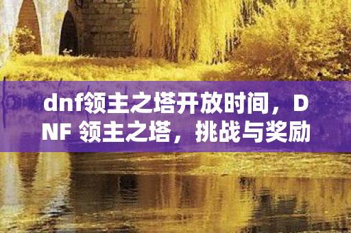 dnf领主之塔开放时间，DNF 领主之塔，挑战与奖励的完美结合