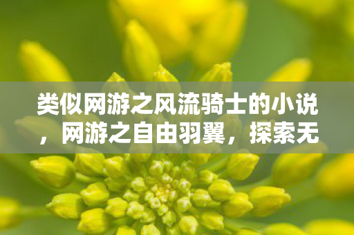 类似网游之风流骑士的小说,网游之自由羽翼,探索无界的游戏世界 类似网游之风流骑士的小说,网游之自由羽翼,探索无界的游戏世界