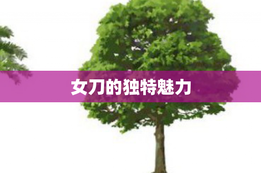 女刀的独特魅力