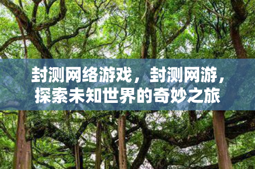 封测网络游戏,封测网游,探索未知世界的奇妙之旅 封测网络游戏,封测网游,探索未知世界的奇妙之旅