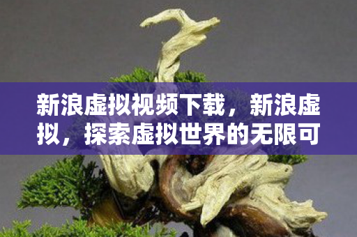 新浪虚拟视频下载，新浪虚拟，探索虚拟世界的无限可能
