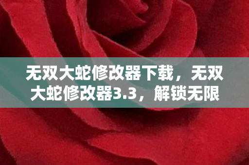 无双大蛇修改器下载，无双大蛇修改器3.3，解锁无限可能的策略游戏神器