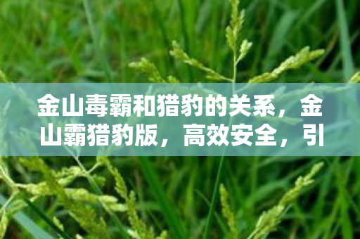 金山毒霸和猎豹的关系，金山霸猎豹版，高效安全，引领办公新风尚