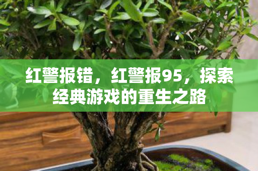 红警报错，红警报95，探索经典游戏的重生之路