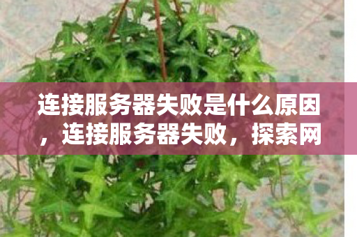 连接服务器失败是什么原因，连接服务器失败，探索网络稳定性的挑战与解决方案