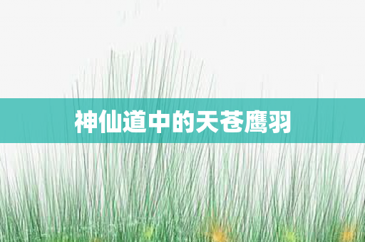 神仙道中的天苍鹰羽