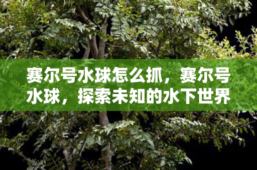 赛尔号水球怎么抓，赛尔号水球，探索未知的水下世界
