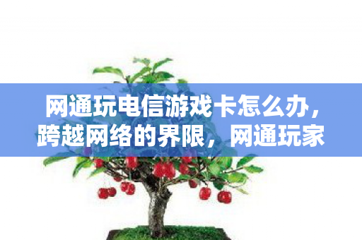 网通玩电信游戏卡怎么办，跨越网络的界限，网通玩家在电信游戏中的挑战与应对