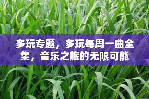 多玩专题,多玩每周一曲全集,音乐之旅的无限可能 多玩专题,多玩每周一曲全集,音乐之旅的无限可能
