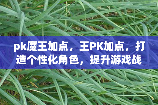 pk魔王加点，王PK加点，打造个性化角色，提升游戏战斗力的关键