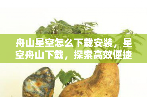 舟山星空怎么下载安装,星空舟山下载,探索高效便捷的游戏资源获取方式 舟山星空怎么下载安装,星空舟山下载,探索高效便捷的游戏资源获取方式