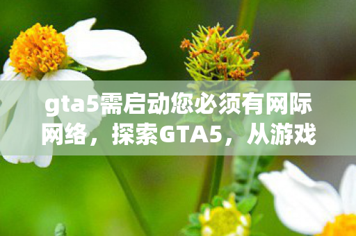 gta5需启动您必须有网际网络,探索GTA5,从游戏世界到现实生活的启示 gta5需启动您必须有网际网络,探索GTA5,从游戏世界到现实生活的启示