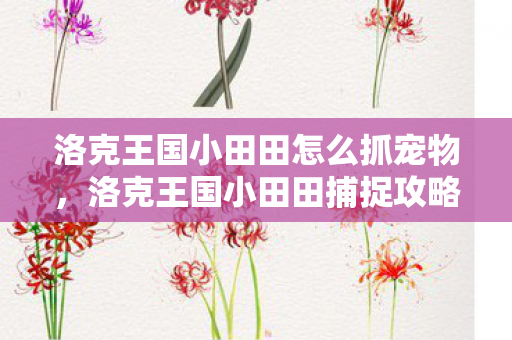 洛克王国小田田怎么抓宠物，洛克王国小田田捕捉攻略